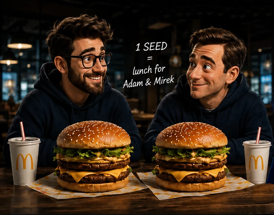 Big Mac reference for the SEED service price